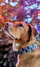 Load image into Gallery viewer, Dog Collar/ Stud Dog Collar/ Valentines Day Dog Collar/ Boy Dog Collar/ Fabric Dog Collar