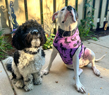 Load image into Gallery viewer, Dog Collar/ Glow in the Dark Webs Dog Collar/ Spider Webs Dog Collar/ Halloween Dog Collar/ Spooky Dog Collar/ Fabric Dog Collar/ Fall Dog Collar