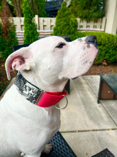 Load image into Gallery viewer, Dog Collar/ Black Skulls Dog Collar/ Flowers and Skulls Dog Collar/ Gothic Dog Collar/ Halloween Dog Collar/ Fabric Dog Collar
