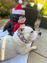 Load image into Gallery viewer, Dog Collar/ Glitter Penguins Dog Collar/ Sparkle Penguins Dog Collar/ Penguins Dog Collar/ Holiday Dog Collar/ Fabric Dog Collar