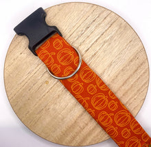 Load image into Gallery viewer, Gold and Rust Pumpkin Dog Collar