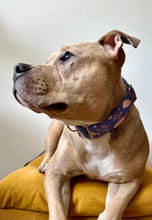 Load image into Gallery viewer, Dog Collar/ Rose Drink Dog Collar/ Nose All Day Dog Collar/ Drinking Dog Collar/ Funny Dog Collar