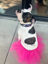 Load image into Gallery viewer, Dog Collar/ Bright Unicorn Dog Collar/ Bright Dog Collar/ Rainbow Dog Collar/ Neon Dog Collar