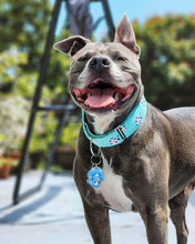 Load image into Gallery viewer, Dog Collar/ Chunky Cow Dog Collar/ Cute Cow Print Dog Collar/ Mint Cow Dog Collar/ Fabric Dog Collar