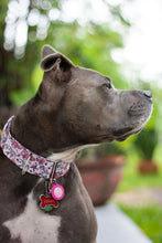 Load image into Gallery viewer, Dog Collar/ Tattoo Dog Collar/ Pink Dog Collar/ Tough Girl Dog Collar/ Skull Dog Collar/ Fabric Dog Collar