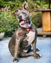 Load image into Gallery viewer, Dog Collar/ Mom Heart Dog Collar/ Mom Tattoo Dog Collar/ Mom Dog Collar/ Love Dog Collar
