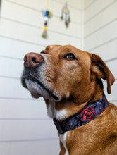 Load image into Gallery viewer, Dark Thorns and Roses Dog Collar