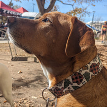 Load image into Gallery viewer, Lumberjack Dog Collar