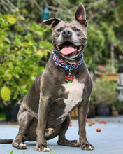Load image into Gallery viewer, Dog Collar/ Patriotic Camo Print Dog Collar/ Red White and Blue Dog Collar/ USA Dog Collar/Fabric Dog Collar