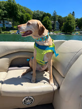 Load image into Gallery viewer, Dog Collar/ Pina Colada Dog Collar/ Pineapple Dog Collar/ Summer Dog Collar/ CocktailThemed Dog Collar