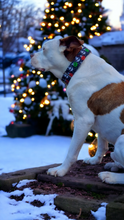Load image into Gallery viewer, Dog Collar/ Skull Lights Dog Collar/ Creepy Christmas Dog Collar/ Spooky Holiday Dog Collar/ Christmas Skulls Dog Collar/ Fabric Dog Collar
