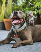 Load image into Gallery viewer, Dog Collar/ Squirrel Patrol Dog Collar/ Dog Themed Dog Collar/ Fabric Dog Collar
