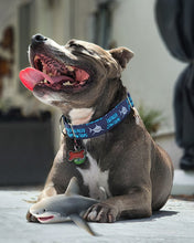 Load image into Gallery viewer, Dog Collar/ Totally Jawsome Shark Dog Collar/ Shark Dog Collar/ Ocean Dog Collar/ Fabric Dog Collar