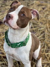 Load image into Gallery viewer, Dog Collar/ Dog's Holiday Dog Collar/ May Your Snow Be White Dog Collar/ Woof Wishes Dog Collar/ Funny Holiday Dog Collar/ Fabric Dog Collar