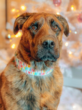 Load image into Gallery viewer, Dog Collar/ Birthday Dog Collar/ It's My Birthday Dog Collar/ Celebrate Dog Collar/ Fabric Dog Collar