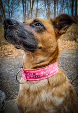 Load image into Gallery viewer, Dog Collar/ It's A Girl Dog Collar/ Baby Announcement Dog Collar/ Gender Dog Collar
