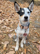 Load image into Gallery viewer, Dog Collar/ Deer Dog Collar/ Fawn Dog Collar/ Animal Print Dog Collar/ Tan Dog Collar/ Fabric Dog Collar