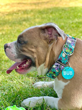 Load image into Gallery viewer, Dog Collar/ Large Zombies Dog Collar/ Colorful Zombies Dog Collar/ Halloween Dog Collar/ Scary Dog Collar/ Fabric Dog Collar