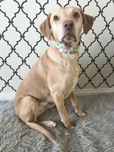 Load image into Gallery viewer, Dog Collar/ Be Kind Dog Collar/ Kindness Dog Collar/ Mental Health Dog Collar/ Fabric Dog Collar