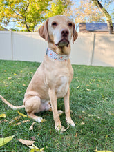 Load image into Gallery viewer, Dog Collar/ Snowman Face Dog Collar/ Winter Dog Collar/ Snowman Dog Collar/ Fabric Dog Collar