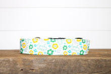 Load image into Gallery viewer, Dog Collar/ Cranky B*tch Dog Collar/ Swear Dog Collar/ Adult Dog Collar/Fabric Dog Collar