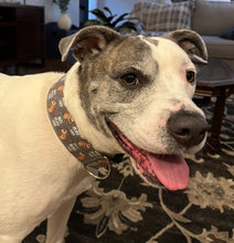 Load image into Gallery viewer, Dog Collar/ Nuts About You Dog Collar/ Chipmunk Dog Collar/ Animal Dog Collar/ Love Dog Collar