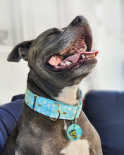 Load image into Gallery viewer, Dog Collar/ Bee Nice Bee Kind Dog Collar/ Bee Dog Collar/ Kindness Dog Collar/ Fabric Dog Collar