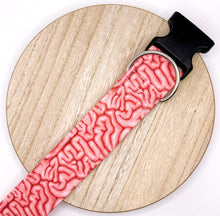 Load image into Gallery viewer, Dog Collar/ Brains Dog Collar/ Intestines Dog Collar/ Halloween Dog Collar/ Autumn Dog Collar/ Fabric Dog Collar