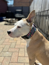 Load image into Gallery viewer, Dog Collar/ Spoiled As F*ck Dog Collar/ Swear Themed Dog Collar/ Adult Dog Collar/Fabric Dog Collar