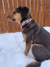 Load image into Gallery viewer, Dog Collar/ Daddy's Girl Dog Collar/ Dog Dad Dog Collar/ Gray Dog Collar