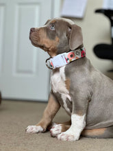 Load image into Gallery viewer, Dog Collar/ Fresh Out of F*cks Dog Collar/ Flower Dog Collar/ Cussing Dog Collar/Fabric Dog Collar