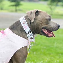 Load image into Gallery viewer, Dog Collar/ Pittie Unicorn Dog Collar/ You Are Magic Dog Collar/ Pitbull Dog Collar/ Fabric Dog Collar
