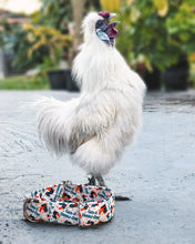 Load image into Gallery viewer, Dog Collar/ F*ck A Doodle Doo Dog Collar/ Rooster Dog Collar/ Adult Dog Collar/Fabric Dog Collar