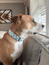 Load image into Gallery viewer, Dog Collar/ There's F*ckery Afoot Dog Collar/ Swear Dog Collar/ Adult Dog Collar/Fabric Dog Collar