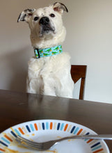 Load image into Gallery viewer, Dog Collar/ Dino Taco Dog Collar/ Food Dog Collar/ Fabric Dog Collar/ Taco Dog Collar