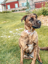 Load image into Gallery viewer, Dog Collar/ Mom Heart Dog Collar/ Mom Tattoo Dog Collar/ Mom Dog Collar/ Love Dog Collar