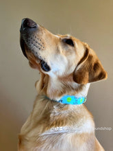 Load image into Gallery viewer, Dog Collar/ Ball is Life Dog Collar/ Tennis Ball Dog Collar/ Blue Dog Collar