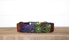Load image into Gallery viewer, Rainbow Webs Dog Collar