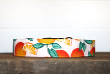 Load image into Gallery viewer, Dog Collar/ Oranges Dog Collar/ Fruit Dog Collar/ Orange Slice Dog Collar/ Spring Dog Collar