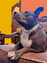 Load image into Gallery viewer, Dog Collar/ Smile Motherf*ckers Dog Collar/ Swear Dog Collar/ Adult Dog Collar/Fabric Dog Collar