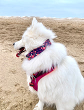 Load image into Gallery viewer, Dog Collar/ F*ck Off Mcf*ckface Dog Collar/ Swear Dog Collar/ Adult Dog Collar/Fabric Dog Collar
