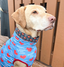 Load image into Gallery viewer, Dog Collar/ Rescued and Loved Dog Collar/ Valentines Dog Collar/ Rescue Dog Collar/ Cute Dog Collar/ Fabric Dog Collar