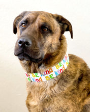 Load image into Gallery viewer, Dog Collar/ Be Kind Dog Collar/ Kindness Dog Collar/ Mental Health Dog Collar/ Fabric Dog Collar