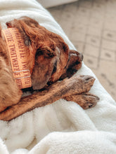 Load image into Gallery viewer, Dog Collar/ Twatwaffle Dog Collar/ Wffle Dog Collar/ Swear Dog Collar/Fabric Dog Collar