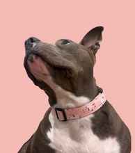 Load image into Gallery viewer, Dog Collar/ Clumsy Unicorn Dog Collar/ Pink Unicorn Dog Collar/ Drunk Unicorn Dog Collar/ Spring Dog Collar