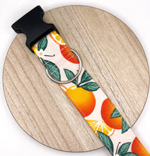 Load image into Gallery viewer, Dog Collar/ Oranges Dog Collar/ Fruit Dog Collar/ Orange Slice Dog Collar/ Spring Dog Collar