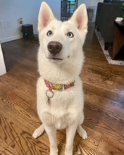 Load image into Gallery viewer, Dog Collar/ Bright Waves Dog Collar/ Ukrainian Artist Dog Collar/ Bright Swirls Dog Collar/ Fabric Dog Collar