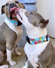 Load image into Gallery viewer, Dog Collar/ Holiday Avocado Dog Collar/ Santa Avocado Dog Collar/ Xmas Dog Collar/ Fabric Dog Collar