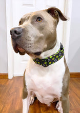 Load image into Gallery viewer, Dog Collar/ Olive You Dog Collar/ Valentines Dog Collar/ Olives Dog Collar/ Cute Dog Collar/ Fabric Dog Collar