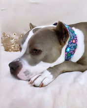 Load image into Gallery viewer, Dog Collar/ Spoiled As F*ck Dog Collar/ Swear Themed Dog Collar/ Adult Dog Collar/Fabric Dog Collar